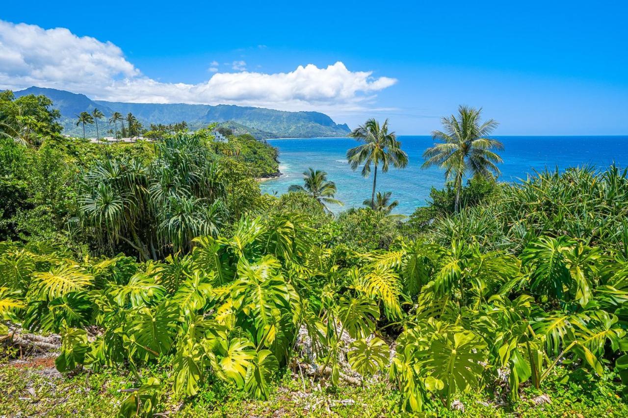 Pali Ke Kua 113 Appartement Princeville Buitenkant foto